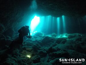 宮古島ダイビングスポット【牛さん こわいよ】