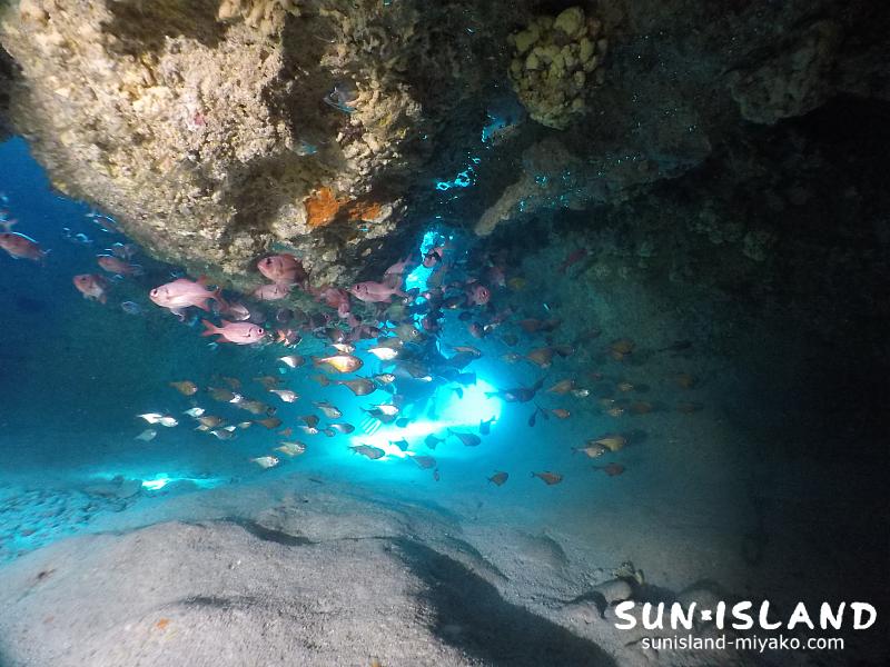 下地島ダイビングスポット【ムーンライトホール】