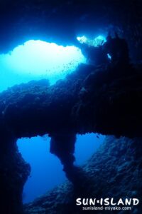 アントにガウディ