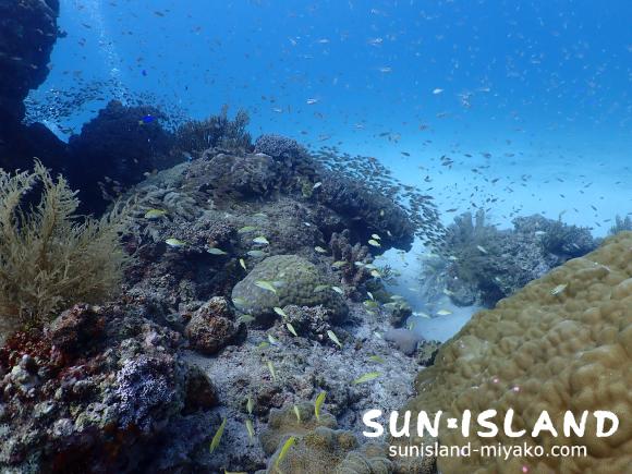 クリスタルパーク