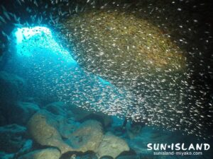 伊良部島ダイビングスポット【クロスホール】