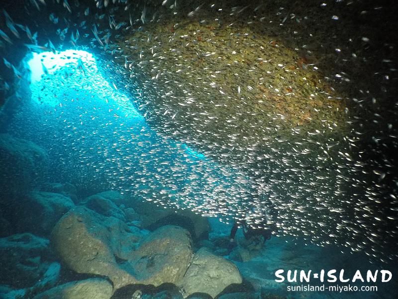 伊良部島ダイビングスポット【クロスホール】