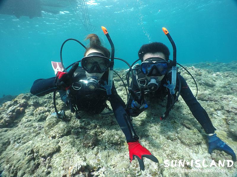 宮古島体験ダイビング