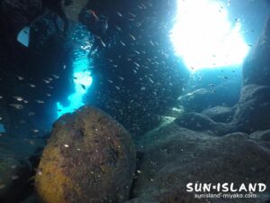 伊良部島ダイビングスポット【ツインホール】