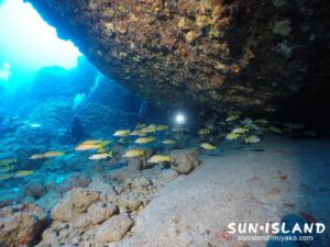 伊良部島ダイビングスポット【ワープホール】