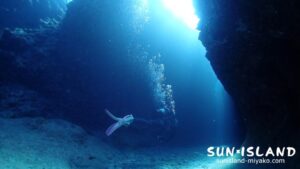 ムーンライトホール