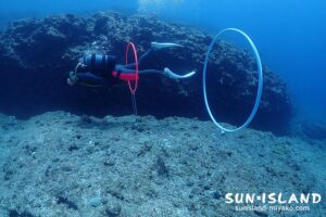 アドバンス講習