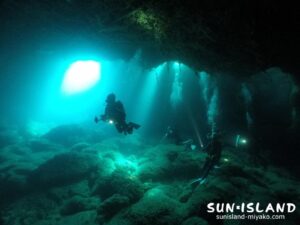 宮古島南岸ダイビングスポット『牛さんこわいよ』