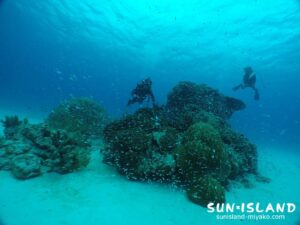 下地島ダイビングスポット【クリスタルパーク】