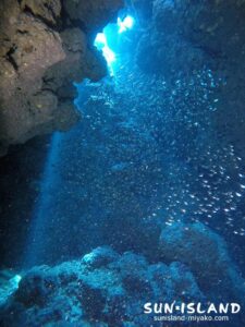 下地島ダイビングスポット【なるほどザ・ケーブ】