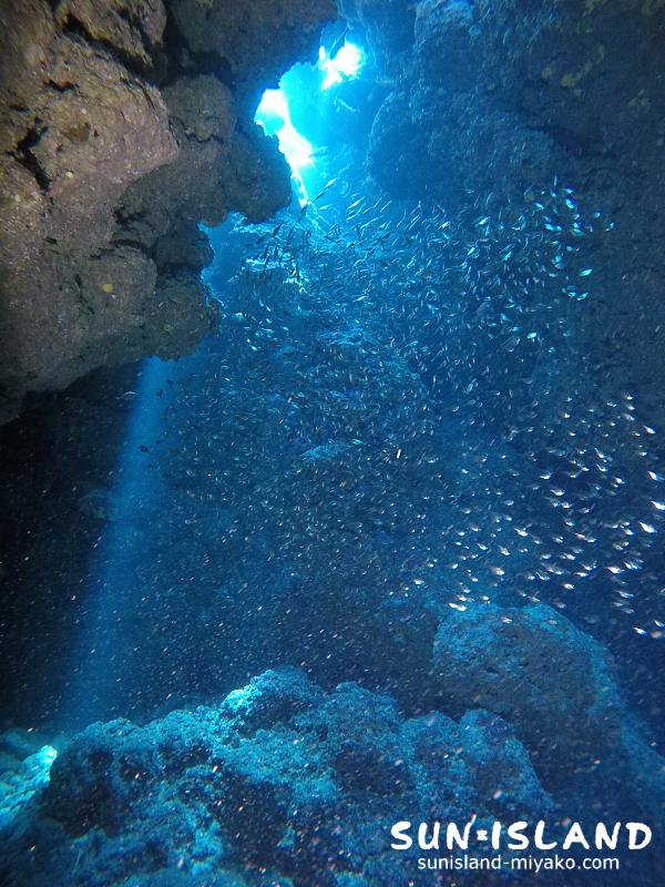下地島ダイビングスポット【なるほどザ・ケーブ】