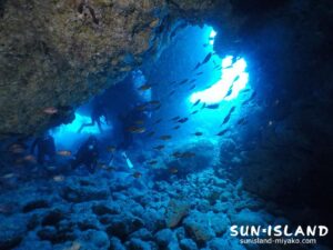 下地島ダイビングスポット【魔女の部屋】
