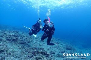 ファンダイビングツアー