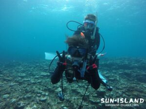 ボート体験ダイビング