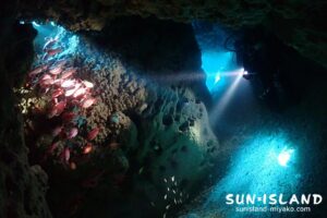 なるほどザ・ケーブ