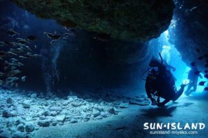 ムーンライトホール