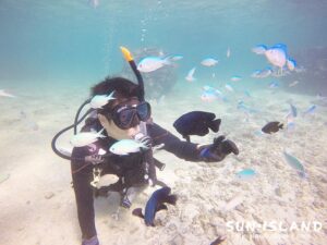 サンゴが綺麗なビーチダイビング