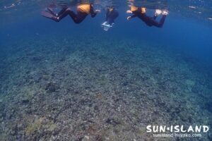 シュノーケリング