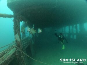 伊良部島ダイビングスポット『沈船』