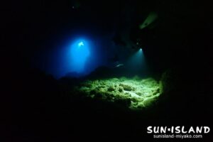 牛さんこわいよ