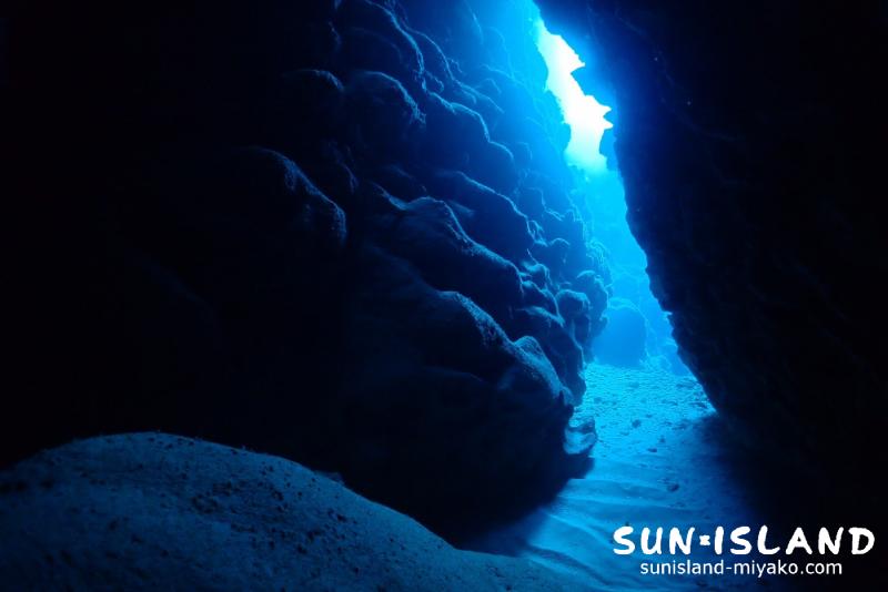 牛さんたのしいよう