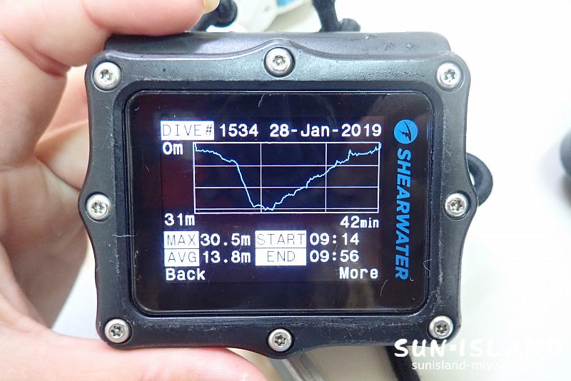 ダイブプロフィール