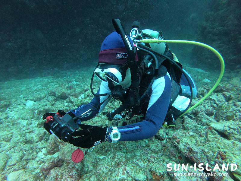 Oさんとフォトダイブ