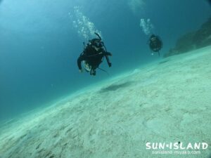 透明感あふれる宮古島ダイビング