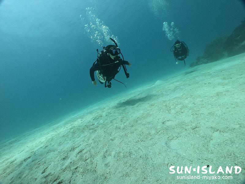 透明感あふれる宮古島ダイビング