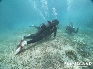 Yさん達のビーチ体験ダイビング