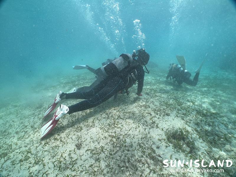 Yさん達のビーチ体験ダイビング