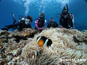 クマノミをじっくり見つめる今日のゲストダイバーさんたち
