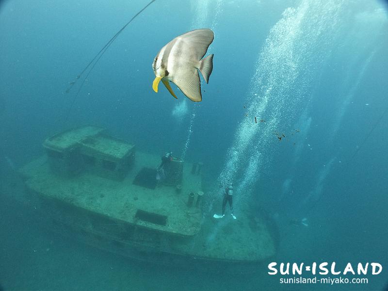伊良部島ダイビングスポット『沈船』