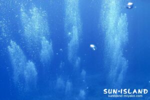 シュノーケリング