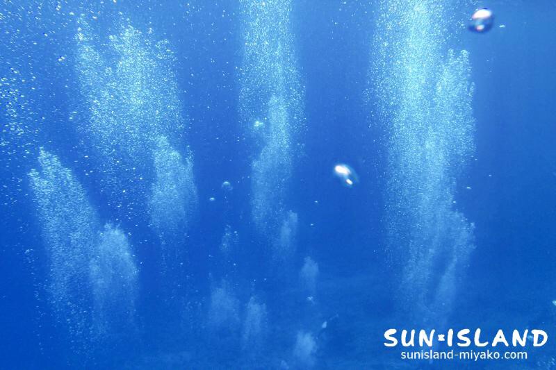 シュノーケリング