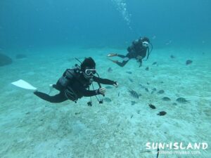 コーラルガーデン