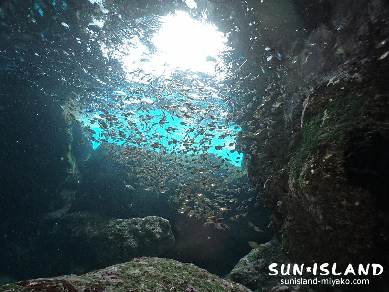 宮古島ダイビングスポット『ツインホール』
