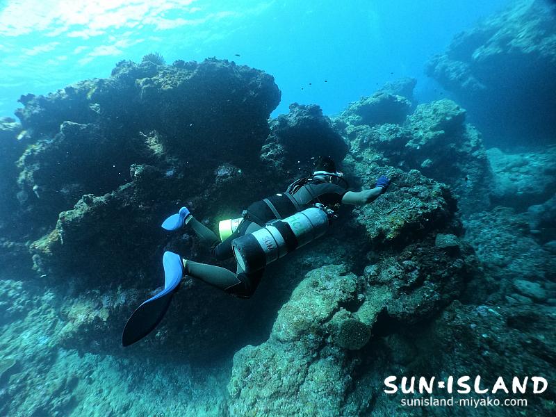 OさんのPADIサイドマウントコース