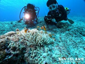 クマノミを愛でるCさん・Kさん