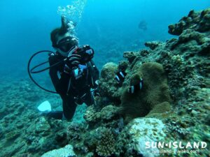 クマノミを撮影するゲスト