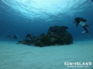 下地島ダイビングスポット『クリスタルパーク』