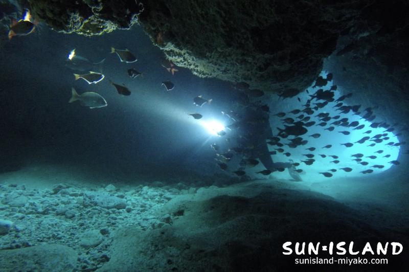 ムーンライトホール