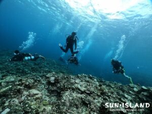今日のゲストさんたち