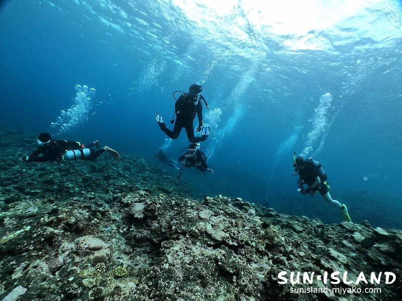 今日のゲストさんたち