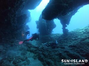 宮古島ダイビング『アントニガウディ』