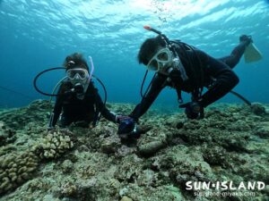 今日のゲストHさんご夫妻