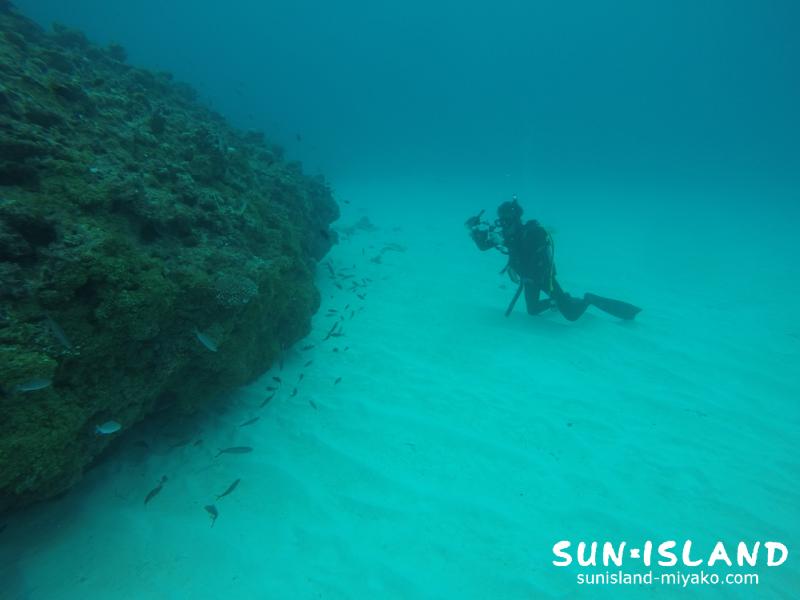 宮古島ダイビング 狩俣下