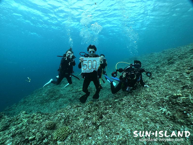 リピーターAさんの500ダイブ記念