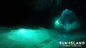 ムーンライトホール