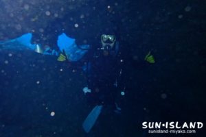 中の島チャネル